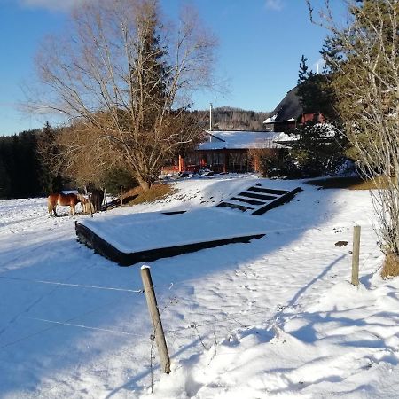 Penzion Farma U Mauritzu Stožec المظهر الخارجي الصورة