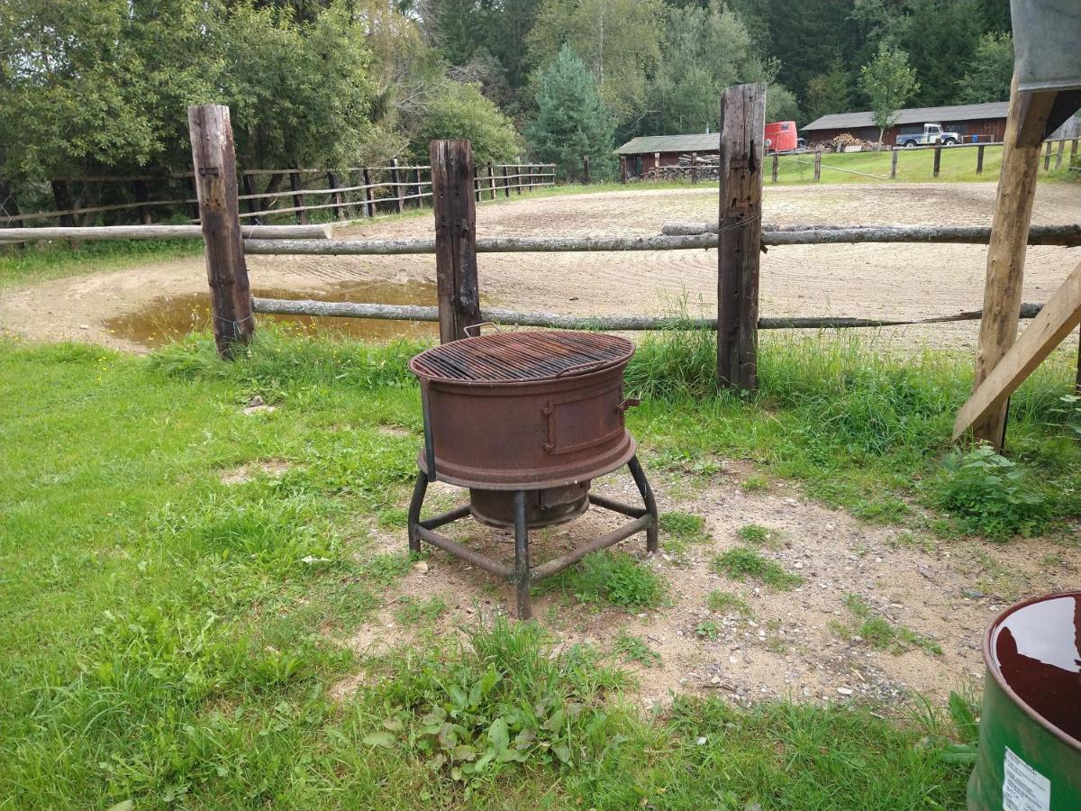 Penzion Farma U Mauritzu Stožec المظهر الخارجي الصورة