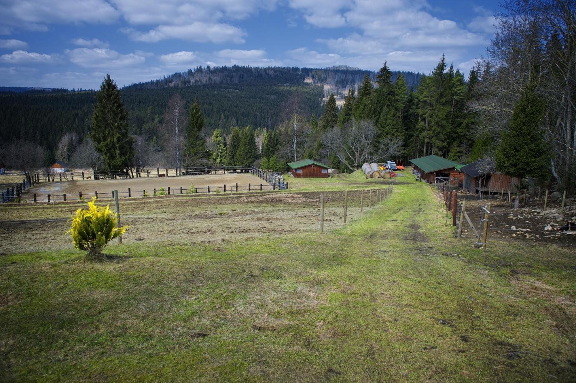 Penzion Farma U Mauritzu Stožec المظهر الخارجي الصورة